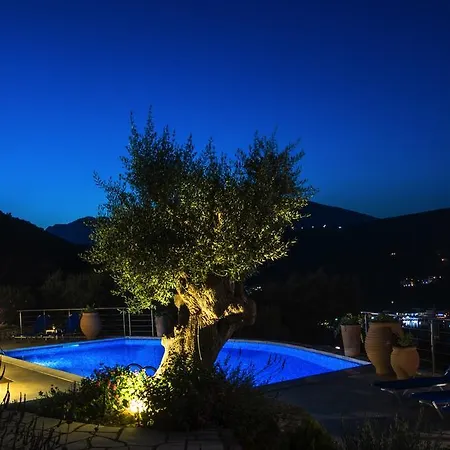 Villas Amantea- Four Villas With Big Pool And Infinity Pool * Syvota