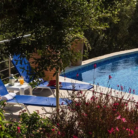 Villas Amantea- Four Villas With Big Pool And Infinity Pool Holiday home *